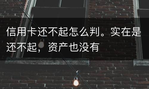 信用卡还不起怎么判。实在是还不起，资产也没有