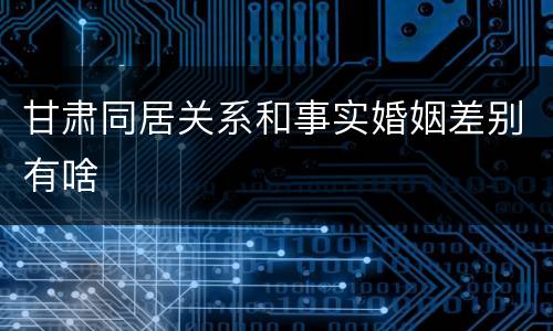 甘肃同居关系和事实婚姻差别有啥