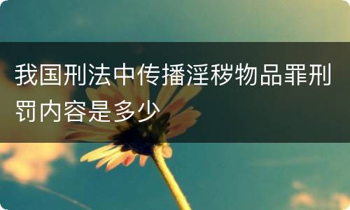我国刑法中传播淫秽物品罪刑罚内容是多少