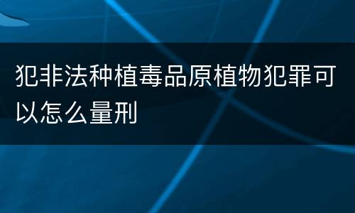 犯非法种植毒品原植物犯罪可以怎么量刑