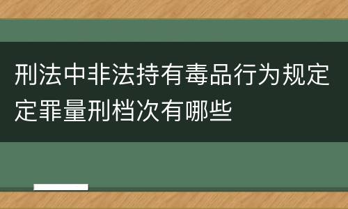刑法中非法持有毒品行为规定定罪量刑档次有哪些