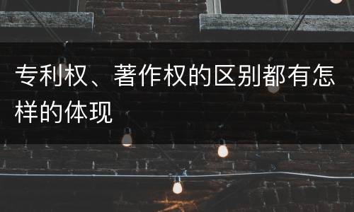 专利权、著作权的区别都有怎样的体现