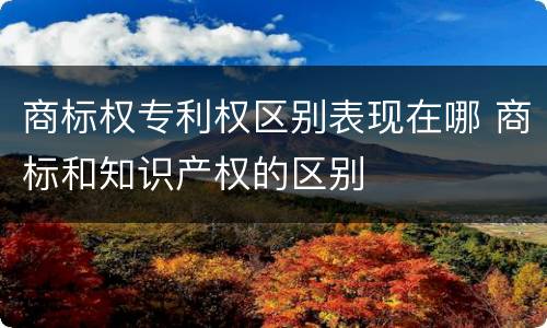 商标权专利权区别表现在哪 商标和知识产权的区别