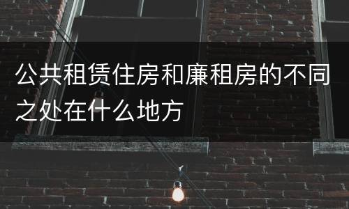 公共租赁住房和廉租房的不同之处在什么地方