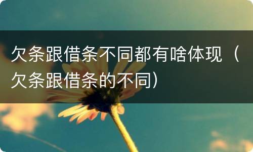 欠条跟借条不同都有啥体现（欠条跟借条的不同）