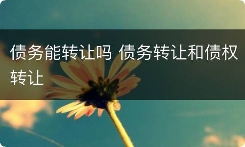 债务能转让吗 债务转让和债权转让