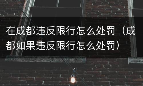在成都违反限行怎么处罚（成都如果违反限行怎么处罚）