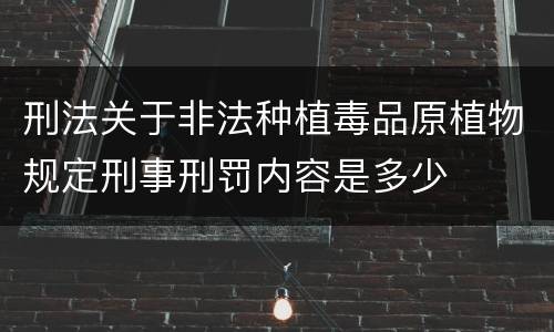 刑法关于非法种植毒品原植物规定刑事刑罚内容是多少
