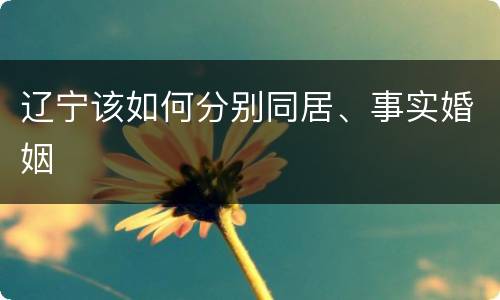辽宁该如何分别同居、事实婚姻