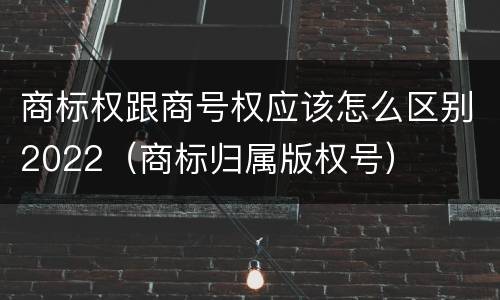 商标权跟商号权应该怎么区别2022（商标归属版权号）