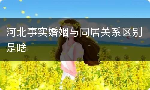 河北事实婚姻与同居关系区别是啥