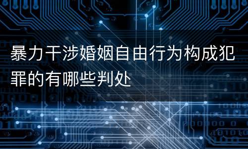 暴力干涉婚姻自由行为构成犯罪的有哪些判处