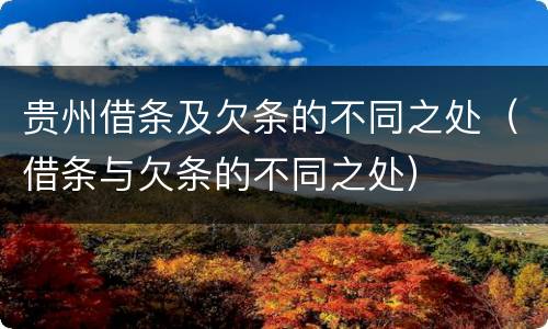 贵州借条及欠条的不同之处（借条与欠条的不同之处）