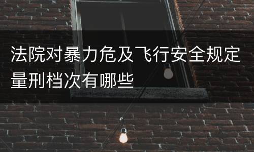 法院对暴力危及飞行安全规定量刑档次有哪些