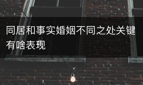 同居和事实婚姻不同之处关键有啥表现