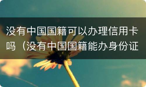 没有中国国籍可以办理信用卡吗（没有中国国籍能办身份证吗）