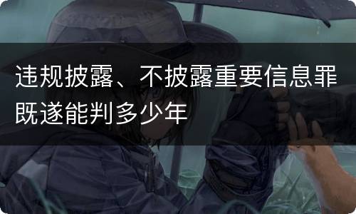 违规披露、不披露重要信息罪既遂能判多少年