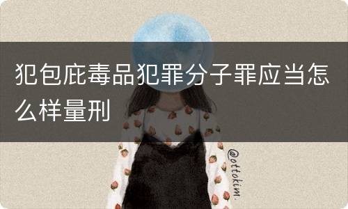 犯包庇毒品犯罪分子罪应当怎么样量刑