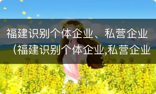 福建识别个体企业、私营企业（福建识别个体企业,私营企业名录）