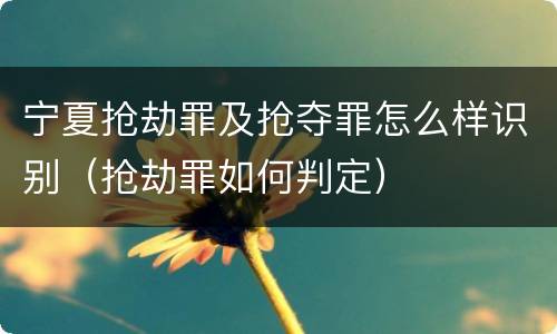宁夏抢劫罪及抢夺罪怎么样识别（抢劫罪如何判定）