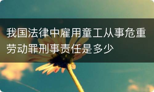 我国法律中雇用童工从事危重劳动罪刑事责任是多少