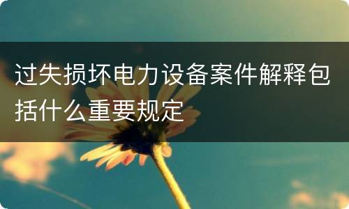 过失损坏电力设备案件解释包括什么重要规定