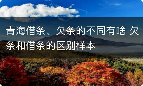 青海借条、欠条的不同有啥 欠条和借条的区别样本