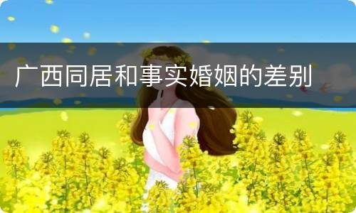 广西同居和事实婚姻的差别