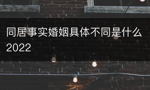 同居事实婚姻具体不同是什么2022
