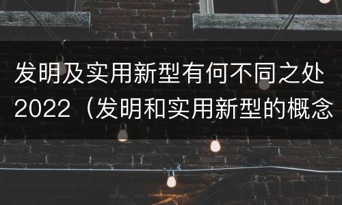 发明及实用新型有何不同之处2022（发明和实用新型的概念）