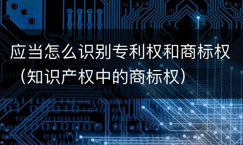 应当怎么识别专利权和商标权（知识产权中的商标权）