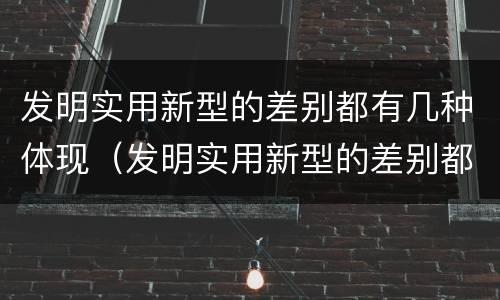 发明实用新型的差别都有几种体现（发明实用新型的差别都有几种体现形式）