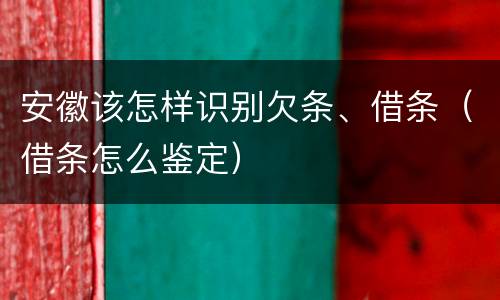 安徽该怎样识别欠条、借条（借条怎么鉴定）