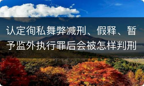 认定徇私舞弊减刑、假释、暂予监外执行罪后会被怎样判刑