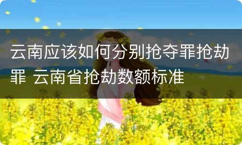 云南应该如何分别抢夺罪抢劫罪 云南省抢劫数额标准