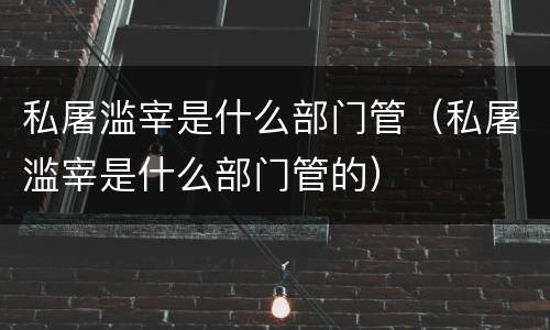 私屠滥宰是什么部门管（私屠滥宰是什么部门管的）
