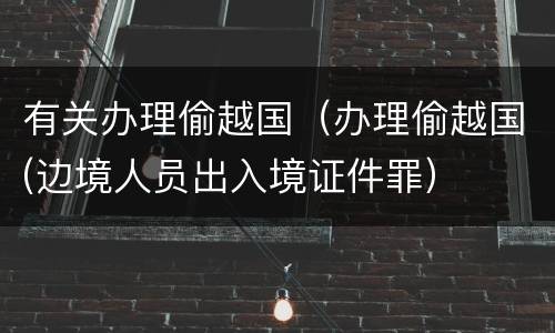 有关办理偷越国（办理偷越国(边境人员出入境证件罪）