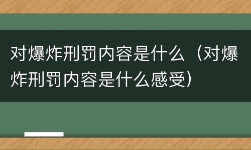 对爆炸刑罚内容是什么（对爆炸刑罚内容是什么感受）