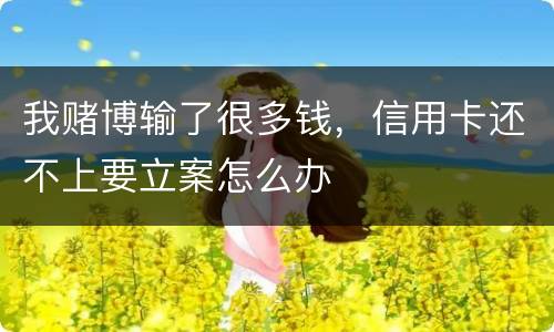 我赌博输了很多钱，信用卡还不上要立案怎么办