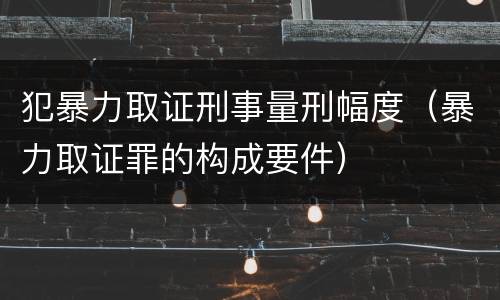 犯暴力取证刑事量刑幅度（暴力取证罪的构成要件）
