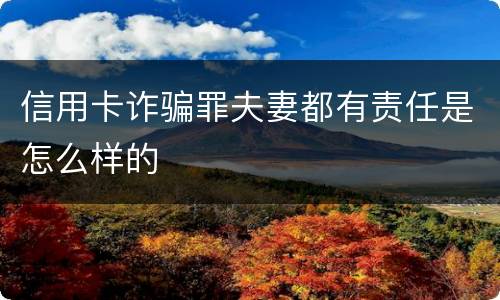 信用卡诈骗罪夫妻都有责任是怎么样的