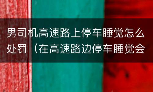 男司机高速路上停车睡觉怎么处罚（在高速路边停车睡觉会受到什么处罚）