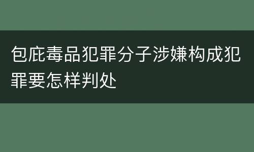 包庇毒品犯罪分子涉嫌构成犯罪要怎样判处
