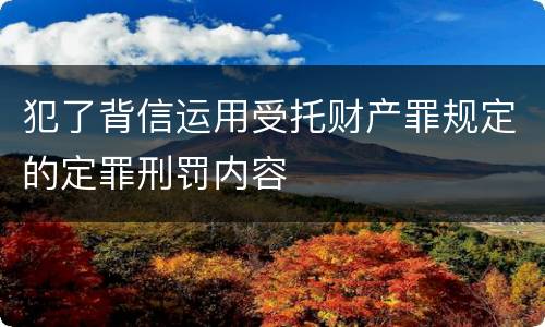 犯了背信运用受托财产罪规定的定罪刑罚内容