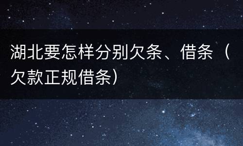 湖北要怎样分别欠条、借条（欠款正规借条）