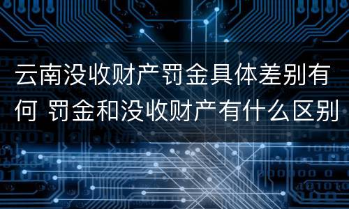 云南没收财产罚金具体差别有何 罚金和没收财产有什么区别