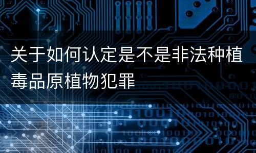 关于如何认定是不是非法种植毒品原植物犯罪