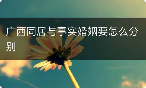 广西同居与事实婚姻要怎么分别