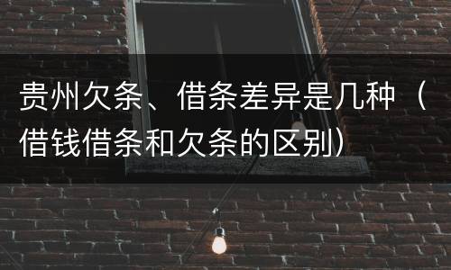贵州欠条、借条差异是几种（借钱借条和欠条的区别）