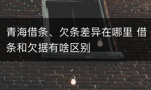 青海借条、欠条差异在哪里 借条和欠据有啥区别